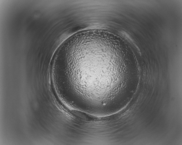 X0000057101276200509120958