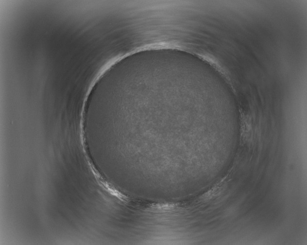 X0000057101278200509120958