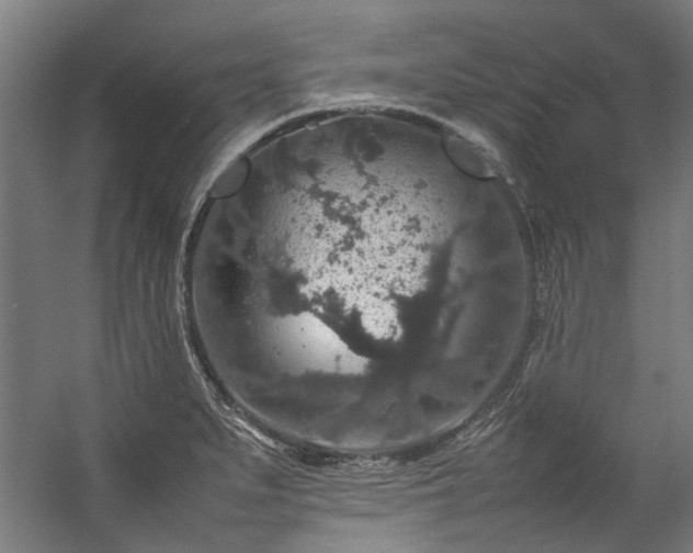 X0000057101279200509120958