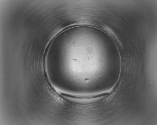 X0000057101284200509120958