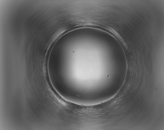 X0000057101285200509120958