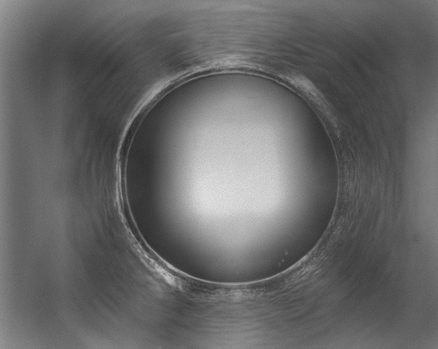 X0000057101286200509120958