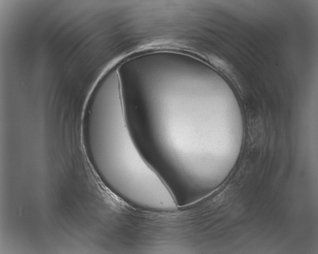 X0000057101288200509120958