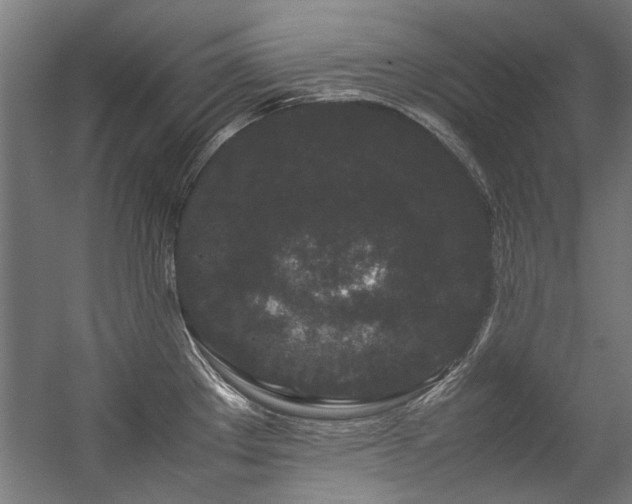 X0000057101289200509120958