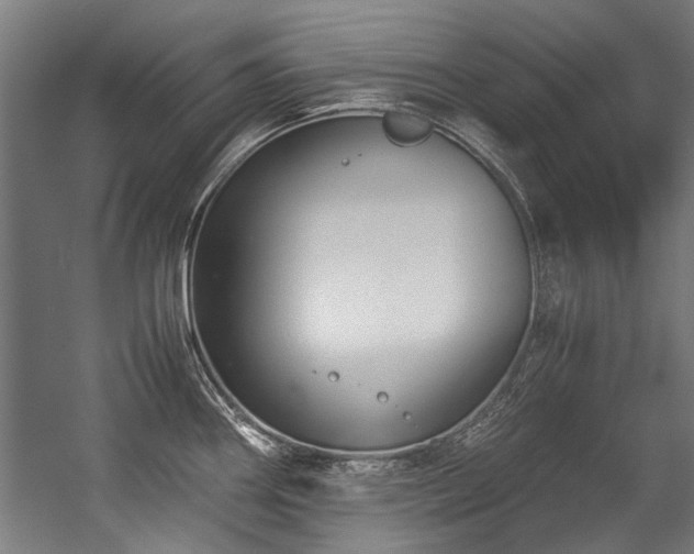 X0000057101290200509120958