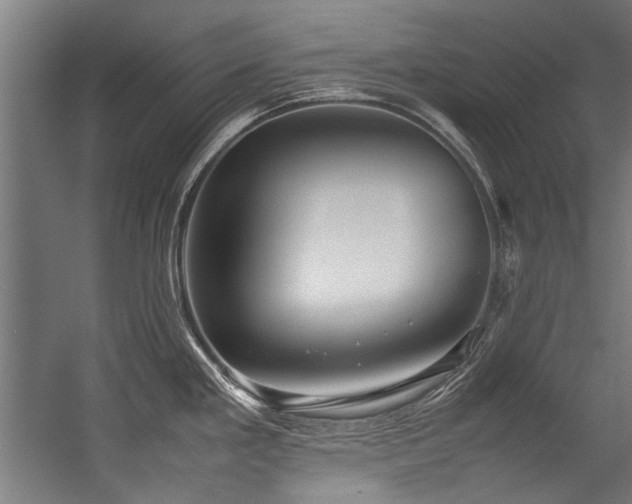 X0000057101293200509120958