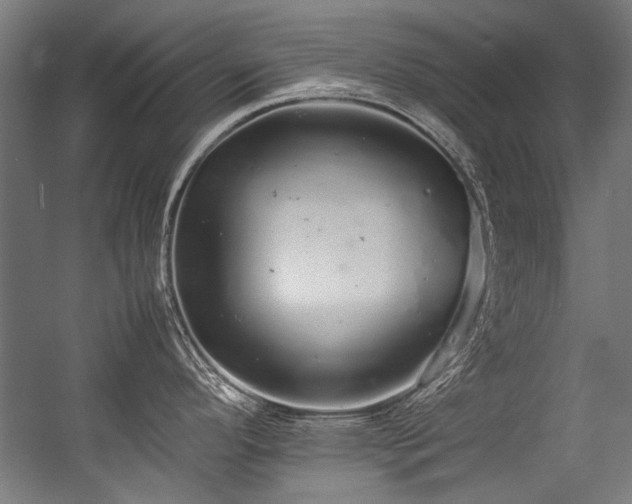 X0000057101296200509120958