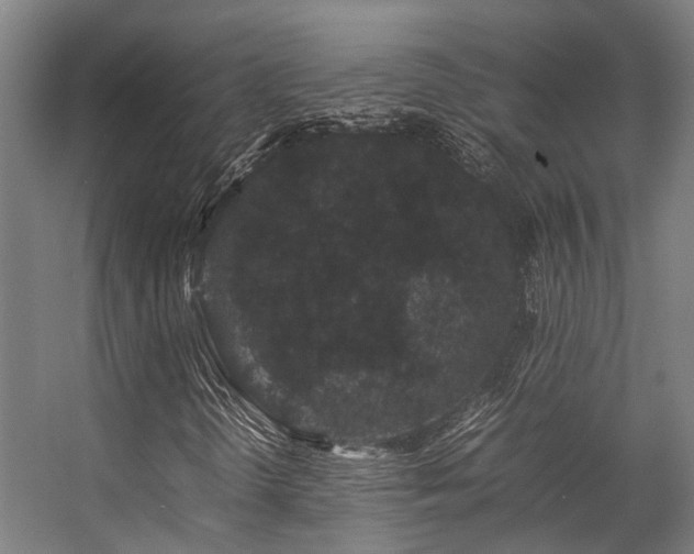 X0000057101298200509120957