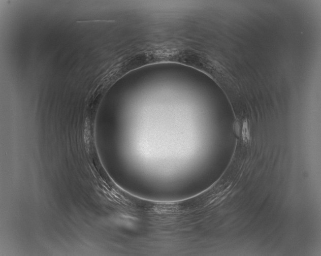 X0000057101299200509120957