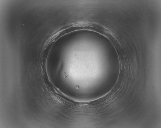 X0000057101304200509120957