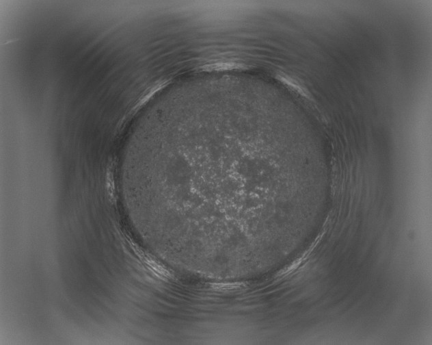 X0000057101305200509120957