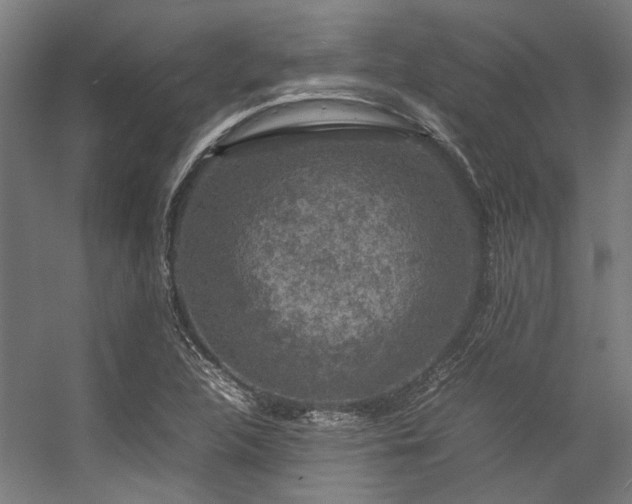 X0000057101312200509120957