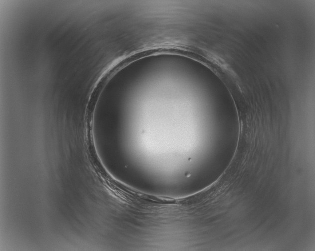 X0000057101316200509120958