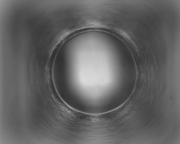 X0000057101318200509120958