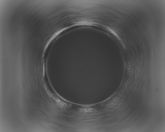 X0000057101323200509120958