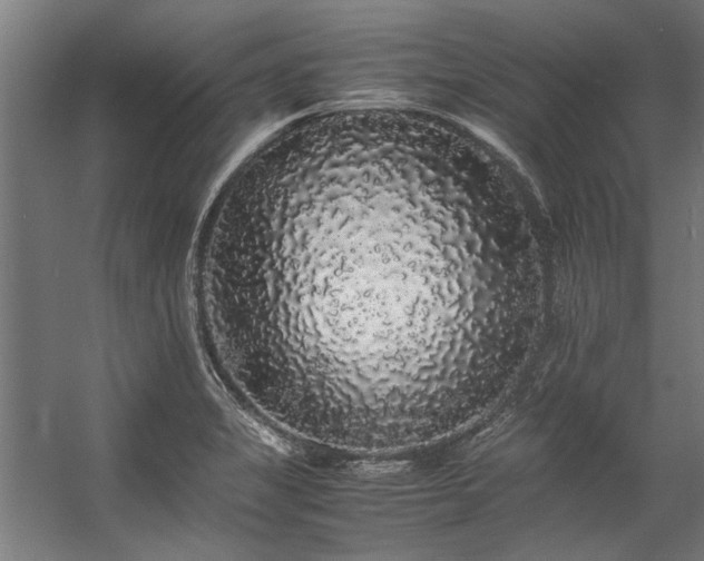 X0000057101325200509120958