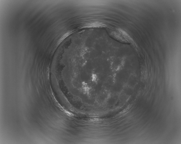 X0000057101329200509120958