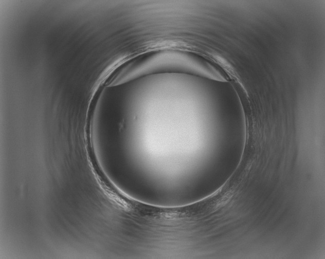 X0000057101330200509120958