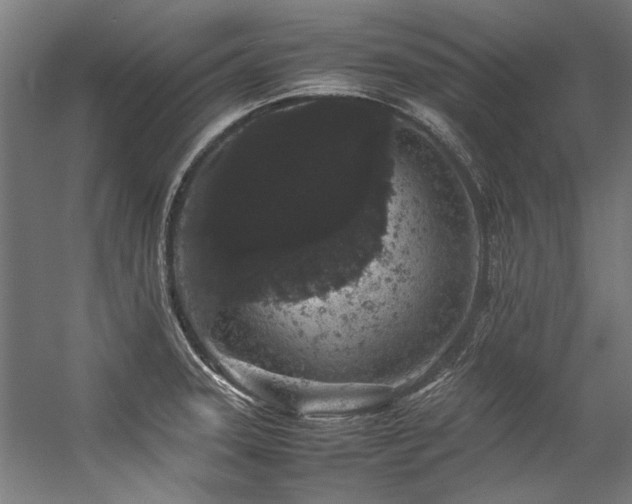 X0000057101331200509120958