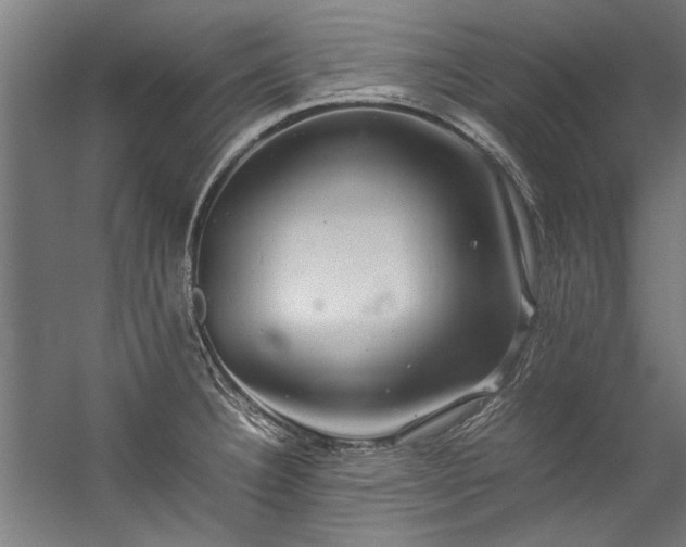 X0000057101332200509120958