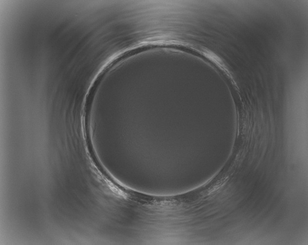 X0000057101334200509120958