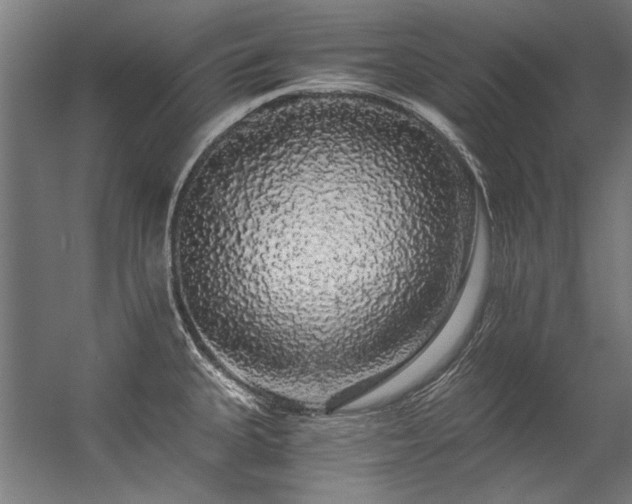 X0000057101335200509120958