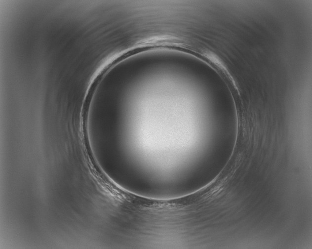 X0000057101336200509120958