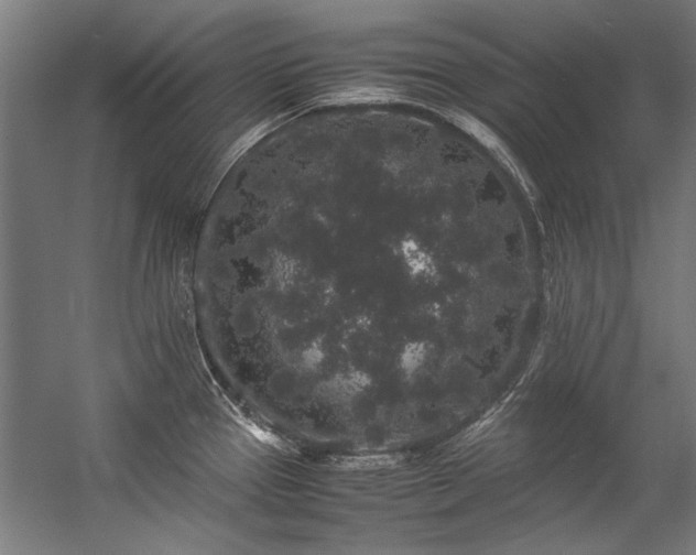 X0000057101337200509120958