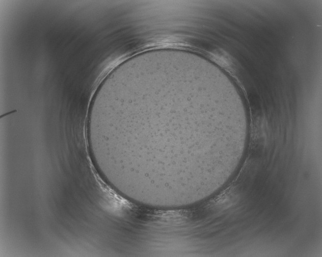 X0000057101338200509120958