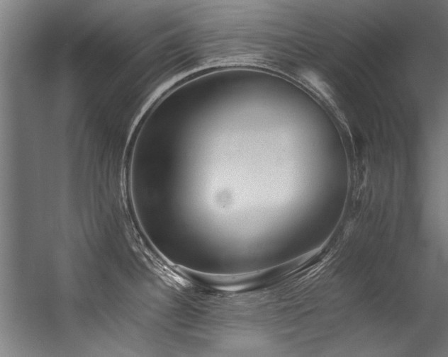 X0000057101340200509120958