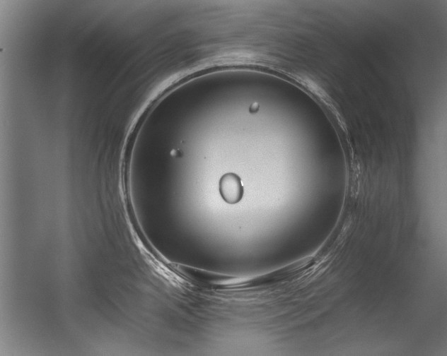 X0000057101342200509120958