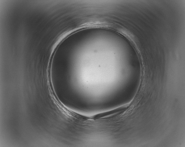 X0000057101344200509120958