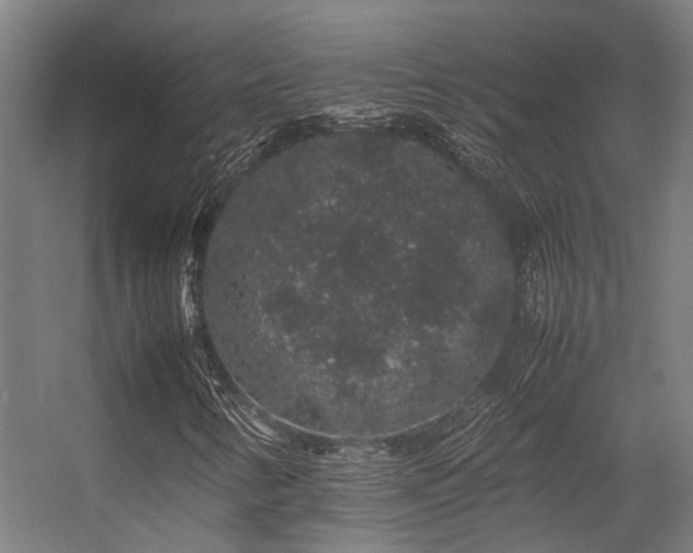 X0000057101346200509120957