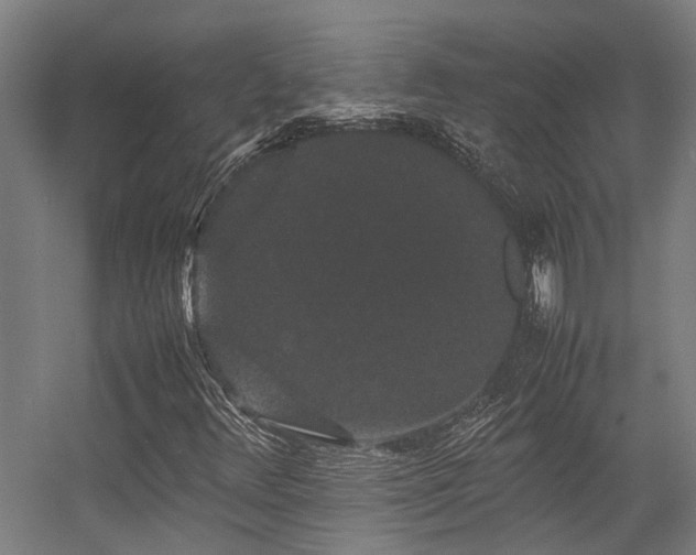 X0000057101348200509120957