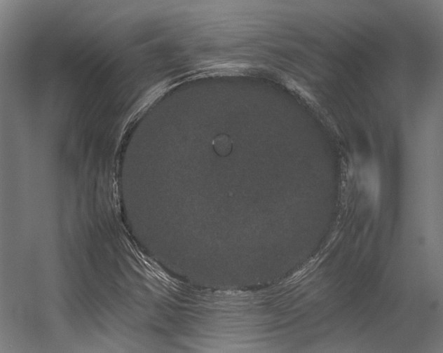 X0000057101354200509120957