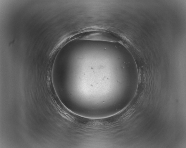 X0000057101355200509120957