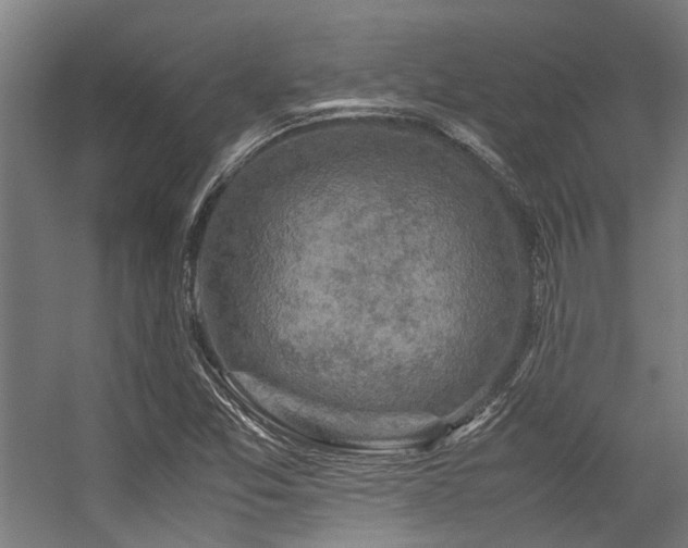 X0000057101357200509120957