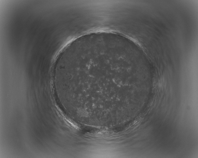 X0000057101359200509120957