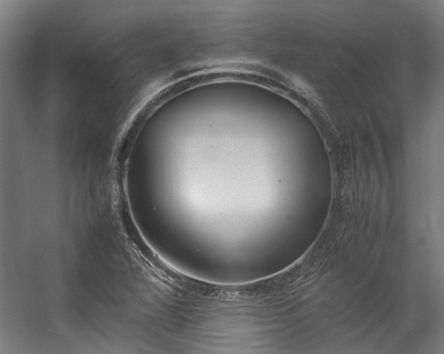 X0000057101360200509120957