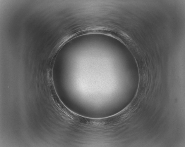 X0000057101361200509120957