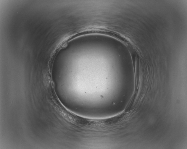 X0000057101363200509120957