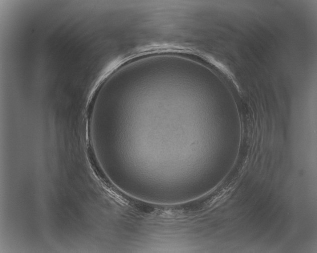 X0000057101365200509120957