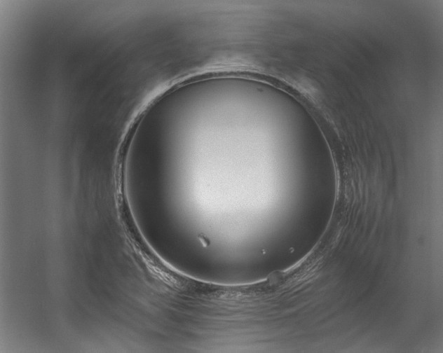 X0000057101366200509120957