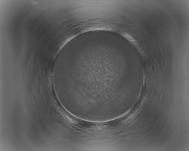 X0000057101369200509120957