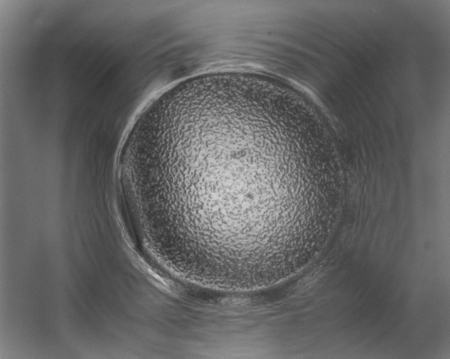 X0000057101371200509120957