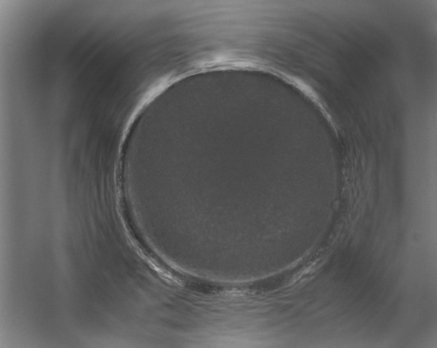 X0000057101373200509120957