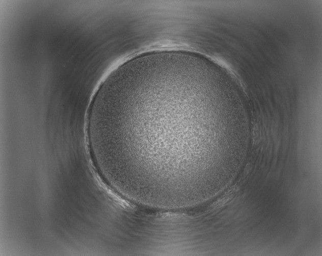 X0000057101374200509120957