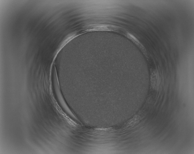 X0000057101378200509120957