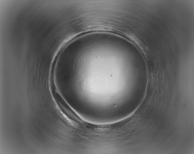 X0000057101379200509120957