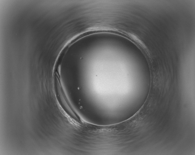 X0000057101380200509120957